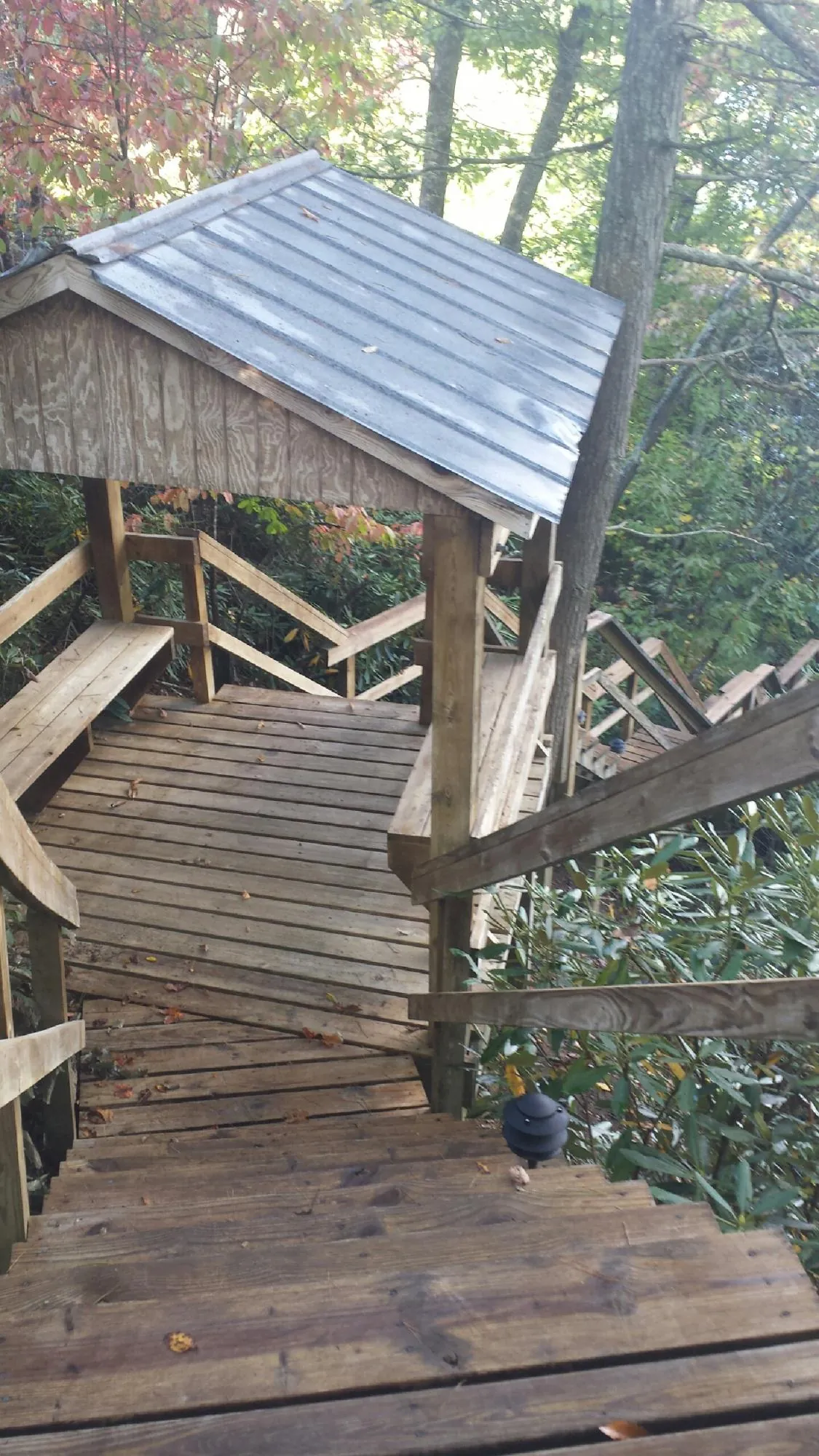 Metal roofed shelter over wooden steps on a wooded walkway — Skylight Repair & Installation work by our crew in Lopez Island