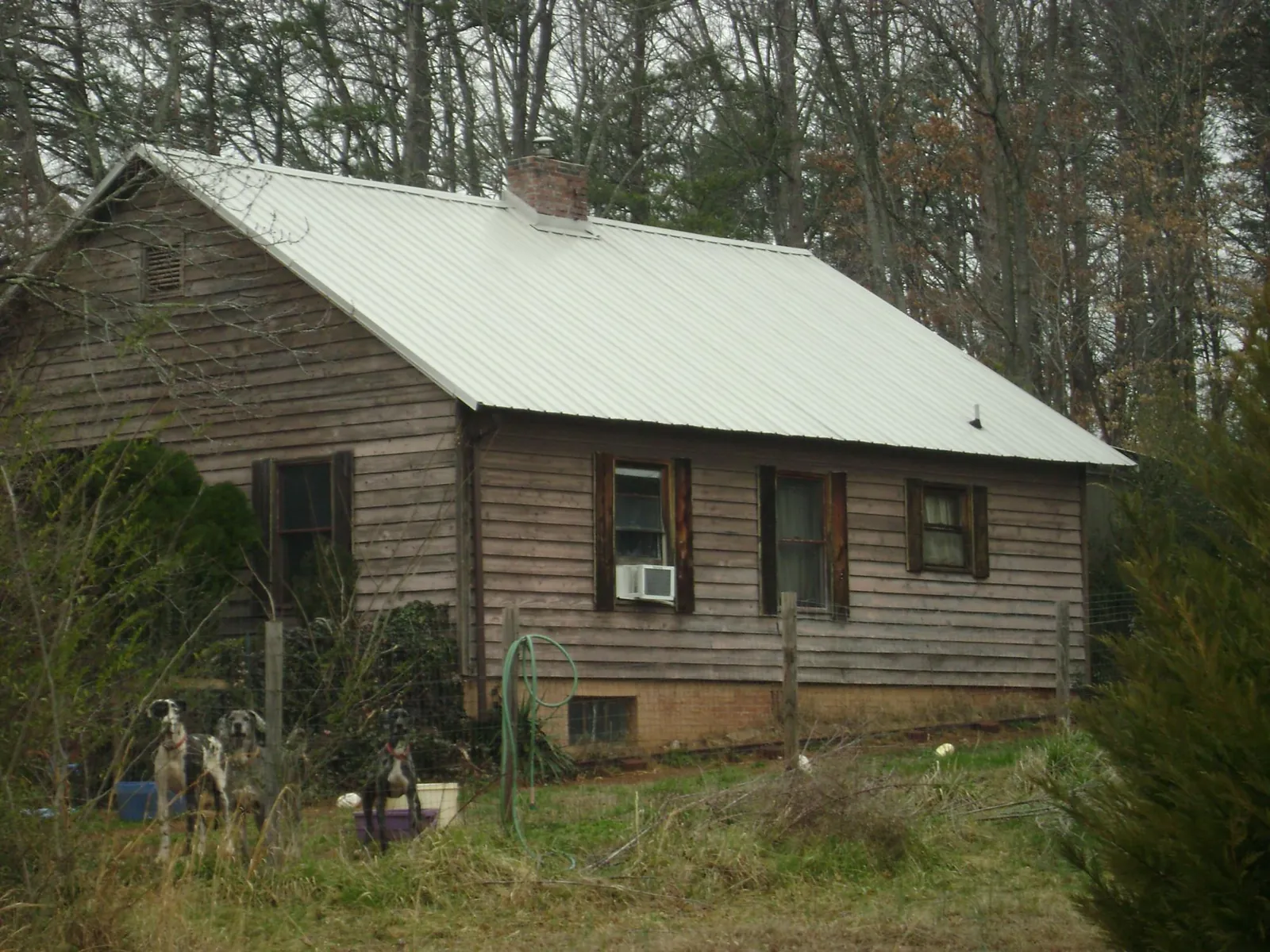 White metal roof on an old wood sided farmhouse, from a Asphalt Shingle Roof Repair job in Lopez Island